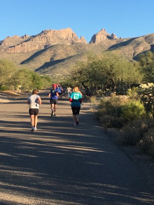 file-nov-14-8-04-58-pm