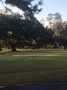 file-nov-19-7-32-25-pm