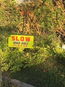 file-nov-19-7-36-27-pm