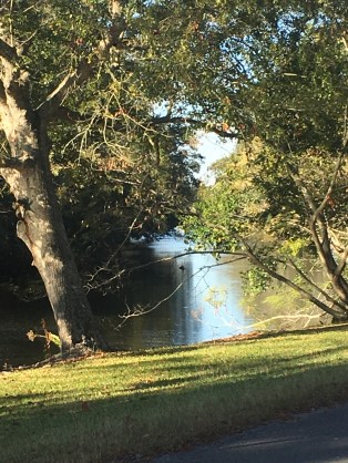 file-nov-19-7-39-20-pm