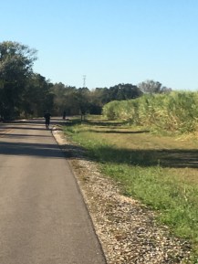 file-nov-19-7-40-36-pm