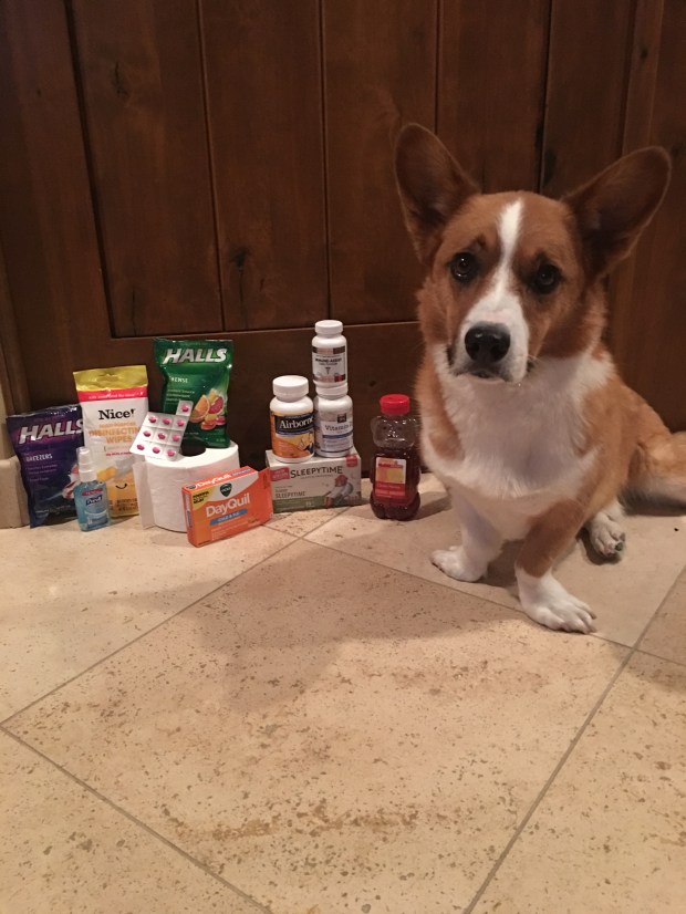 file-dec-01-8-49-38-pm