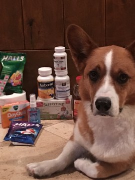 file-dec-01-8-50-28-pm